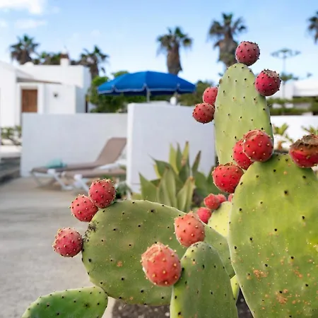 Casa Aloe * Haría