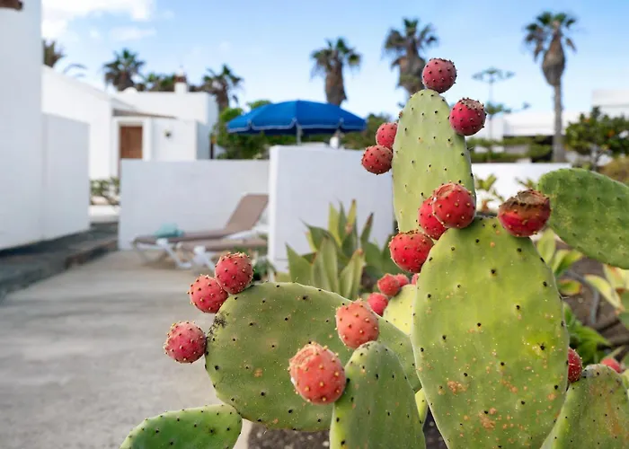 Casa Aloe * Haría
